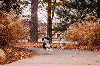 ruccoo family 2024 by monica carlson photography