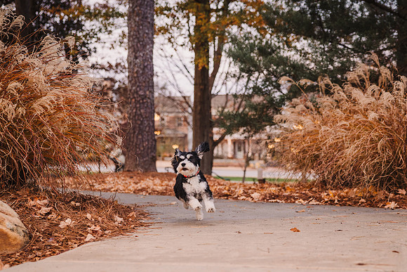 ruccoo family 2024 by monica carlson photography