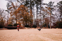 ruccoo family 2024 by monica carlson photography