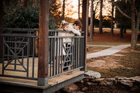 abraham family 2024 by monica carlson photography