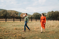 bloomingdale family 2025 by monica carlson photography