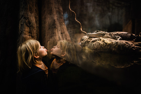 mr aligator but at mom fine art image by monica carlson posted o