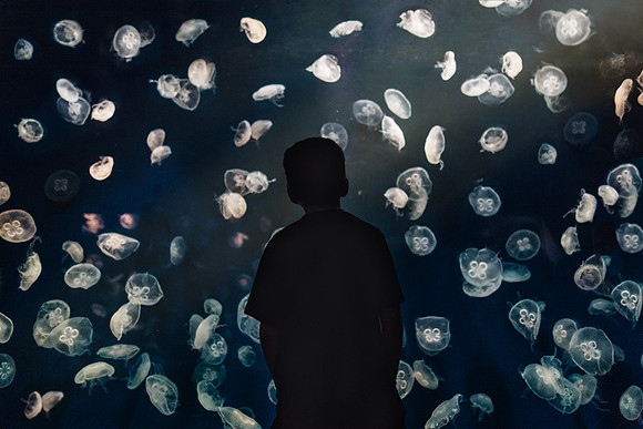 jellyfish but at mom fine art image by monica carlson posted on