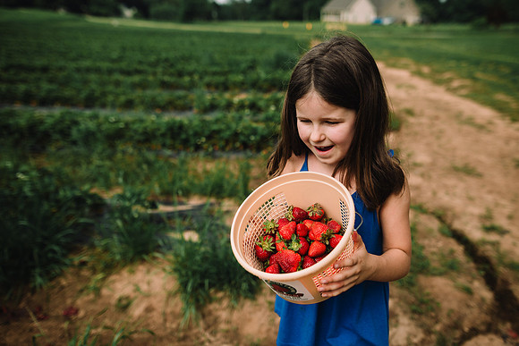 strawberry picking by monica carlson posted on the Click Pro Dai