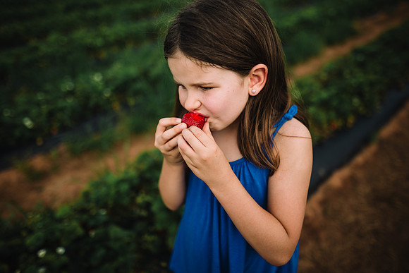 strawberry picking by monica carlson posted on the Click Pro Dai