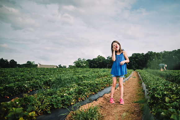 strawberry picking by monica carlson posted on the Click Pro Dai