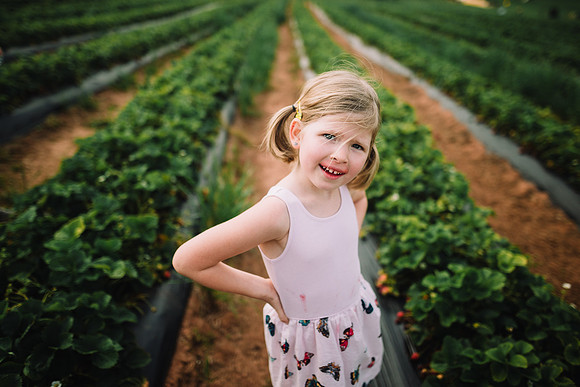 strawberry picking by monica carlson posted on the Click Pro Dai