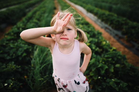 strawberry picking by monica carlson posted on the Click Pro Dai