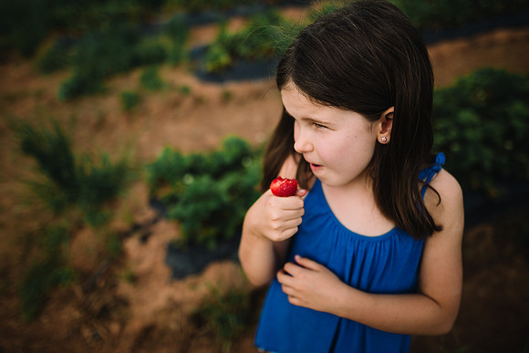 strawberry picking by monica carlson posted on the Click Pro Dai