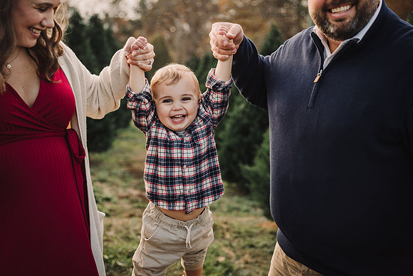 Christmas Tree Farm Mini Sessions