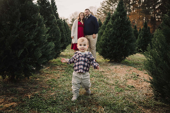 Christmas Tree Farm Mini Sessions