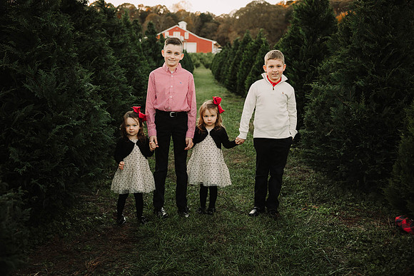Christmas Tree Farm Mini Sessions