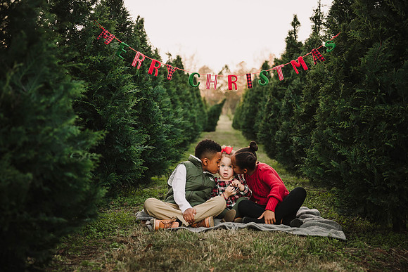Christmas Tree Farm Mini Sessions
