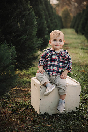 Christmas Tree Farm Mini Sessions