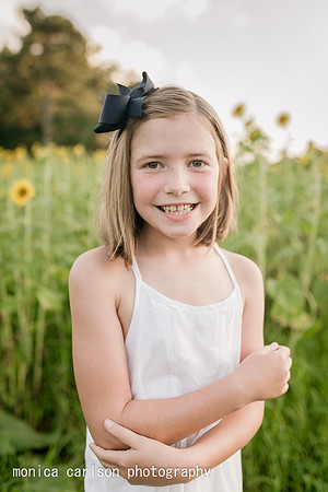 anderson sunflowers by by monica carlson photography