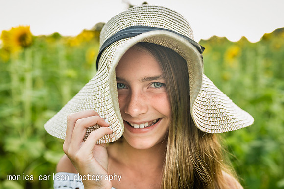 anderson sunflowers by by monica carlson photography
