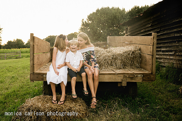 anderson sunflowers by by monica carlson photography