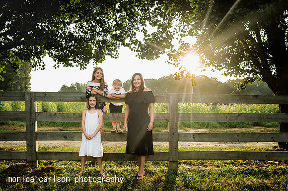 anderson sunflowers by by monica carlson photography