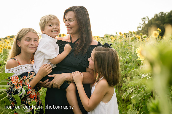 anderson sunflowers by by monica carlson photography
