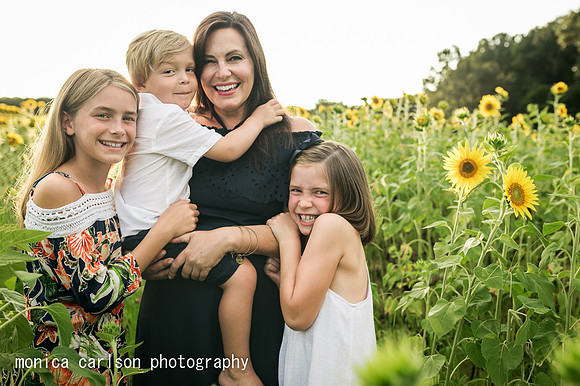 anderson sunflowers by by monica carlson photography