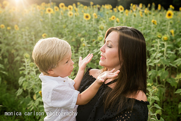 anderson sunflowers by by monica carlson photography