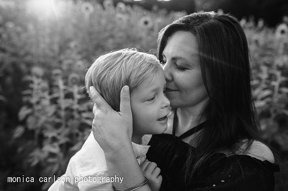 anderson sunflowers by by  monica carlson photography