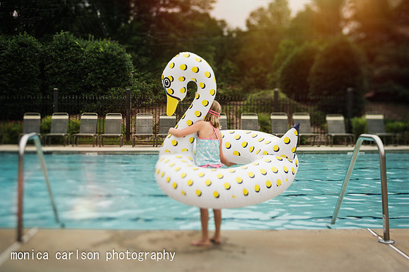 swan lake by monica carlson posted on the Click Pro Daily Projec