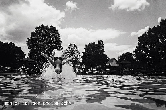always upside down by monica carlson posted on the Click Pro Dai