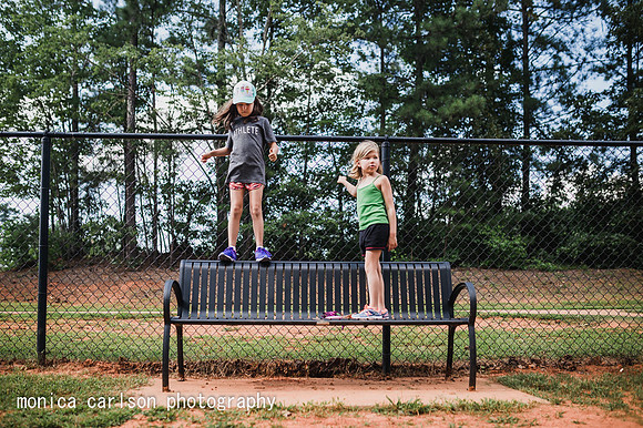 monkeys by monica carlson posted on the Click Pro Daily Project,
