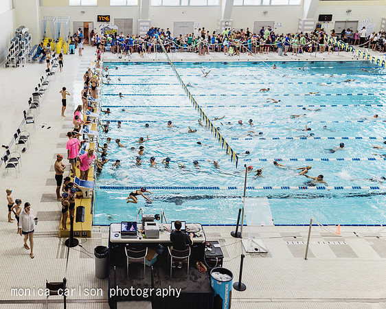 Swim County by monica carlson posted on the Click Pro Daily Proj