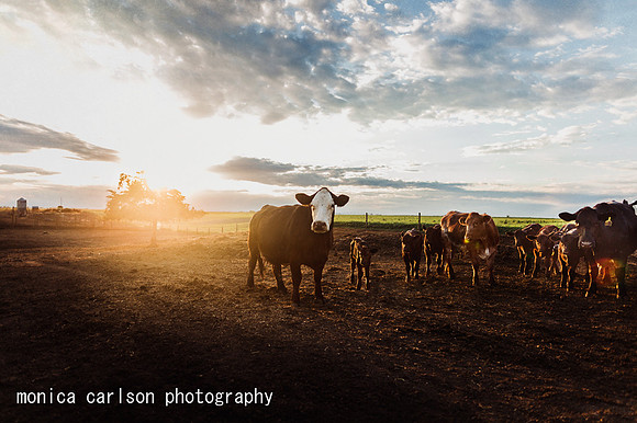 sutton, NE vacation by monica carlson photography