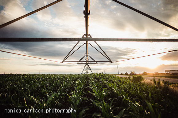 sutton, NE vacation by monica carlson photography