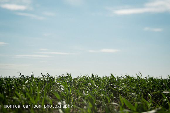 sutton, NE vacation by monica carlson photography