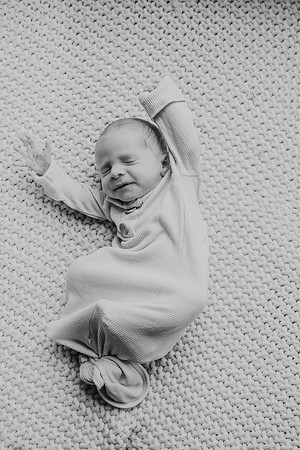 field newborn 2025 by monica carlson photography