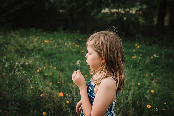 girl blows a wish from a dandelion on a flower field