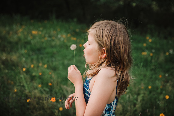 girl makes a wish on a dandelion on a flower field on prospect farms