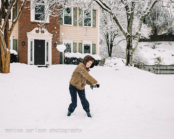 winter wonderland by monica carlson posted on the Click Pro Dail