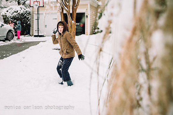 winter wonderland by monica carlson posted on the Click Pro Dail