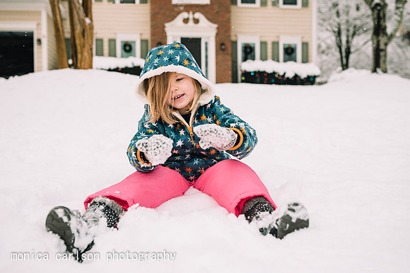 winter wonderland by monica carlson posted on the Click Pro Dail