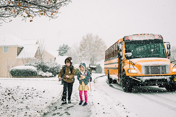 winter wonderland by monica carlson posted on the Click Pro Dail