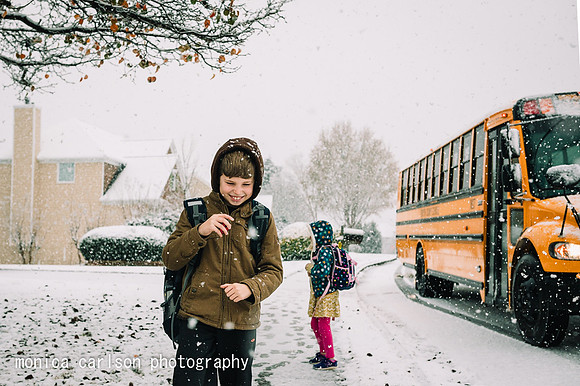 winter wonderland by monica carlson posted on the Click Pro Dail