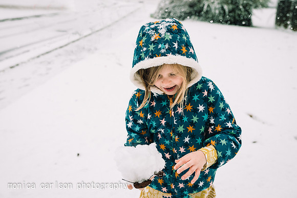 winter wonderland by monica carlson posted on the Click Pro Dail