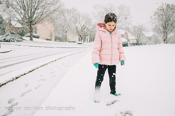 winter wonderland by monica carlson posted on the Click Pro Dail