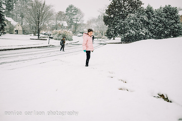 winter wonderland by monica carlson posted on the Click Pro Dail