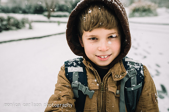 winter wonderland by monica carlson posted on the Click Pro Dail