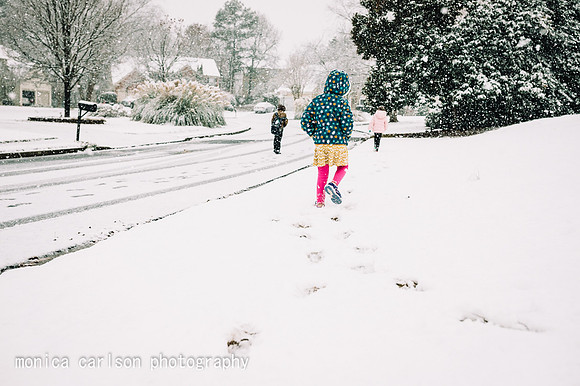 winter wonderland by monica carlson posted on the Click Pro Dail
