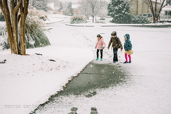 winter wonderland by monica carlson posted on the Click Pro Dail
