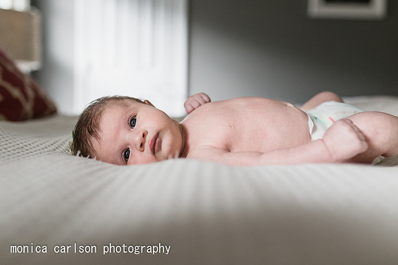 monica carlson photography a alpharetta newborn and family photo