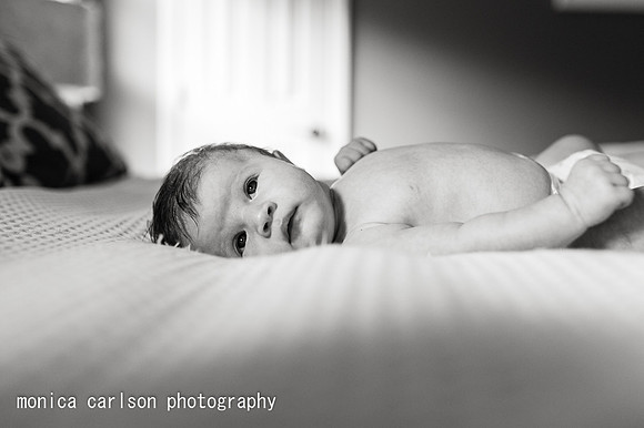 monica carlson photography a alpharetta newborn and family photo