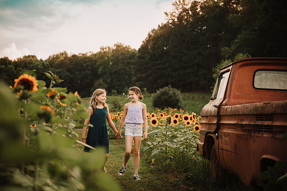 sister walking hand in hand through a field of sunflower past a old truck by monica carlson